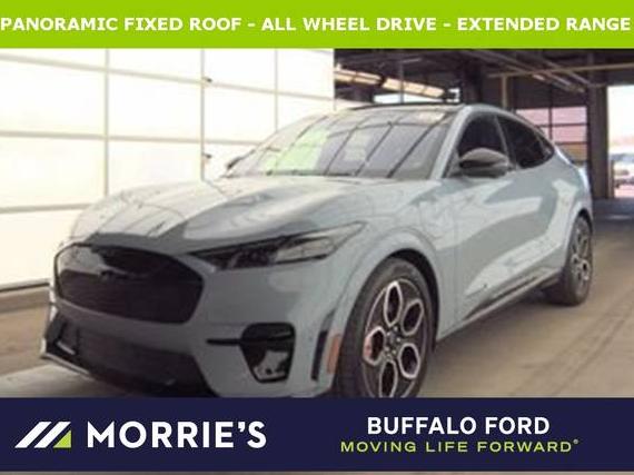 FORD MUSTANG MACH-E 2024 3FMTK4SX0RMA10980 image